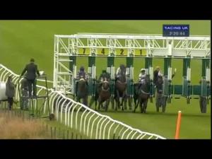 Video preview image for Thirsk 14:20 - British Stallion Studs EBF Fillies' Nursery