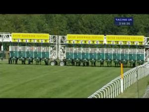 Video preview image for Goodwood 15:45 - Qatar King George Stakes (Group 2)