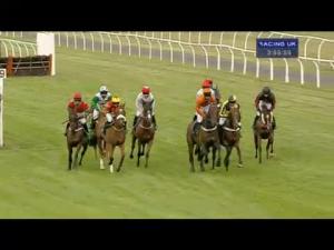 Video preview image for Bangor-On-Dee 15:55 - Bill and Joan Woodward 70th Wedding Anniversary Handicap Chase
