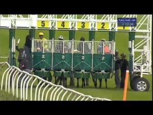 Video preview image for Thirsk 16:05 - Emma Stothard, Sculptor Maiden Stakes