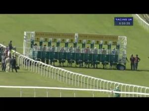 Video preview image for Goodwood 16:55 - L'Ormarins Queens Plate Stakes (Registered As The Oak Tree Stakes) (Fillies' Group 3)