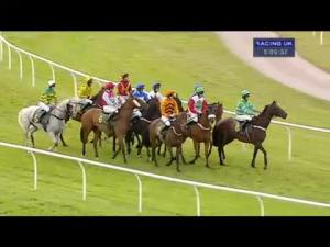 Video preview image for Bangor-On-Dee 17:05 - R W Hough & Sons Conditional Jockeys' Handicap Hurdle
