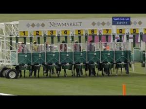 Video preview image for Newmarket 17:20 - Just Recruitment Group Handicap