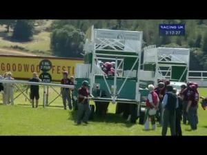 Video preview image for Goodwood 15:10 - Qatar Nassau Stakes (British Champions Series) (Fillies' Group 1)