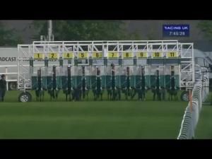 Video preview image for Hamilton Park 19:45 - Alea Casino Handicap