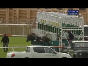 Video preview image for Catterick Bridge 14:15 - Betfred TV EBF Stallions Maiden Stakes