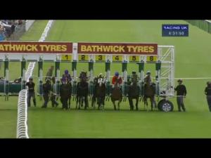 Video preview image for Salisbury 16:30 - Bathwick Tyres Fillies' Handicap