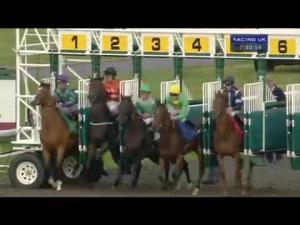 Video preview image for Kempton Park 19:40 - 32red.com Handicap (London Middle Distance Series Qualifier)