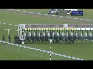 Video preview image for Haydock Park 17:10 - Christmas Glitter Ball At Haydock Park Handicap