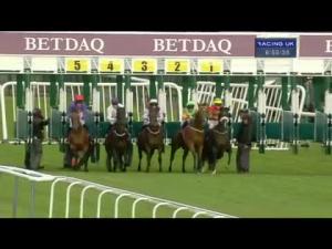 Video preview image for Haydock Park 18:55 - Countrywide Freight Nursery