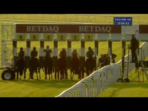 Video preview image for Haydock Park 20:05 - British Stallion Studs EBF Novice Stakes (Plus 10)