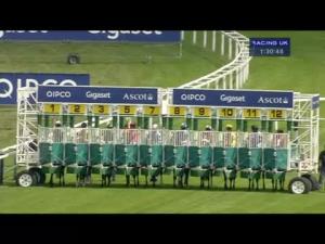 Video preview image for Ascot 13:30 - Dubai Duty Free Shergar Cup Stayers (Handicap)