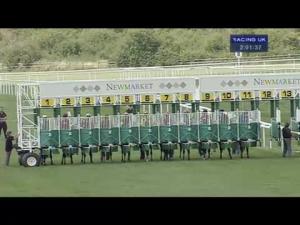 Video preview image for Newmarket 14:00 - Sea The Moon Maiden Fillies' Stakes (Plus 10)
