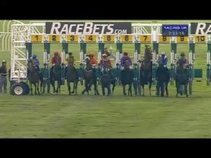 Video preview image for Newmarket 14:30 - racebets.com Handicap