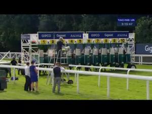 Video preview image for Ascot 15:15 - Dubai Duty Free Shergar Cup Classic (Handicap)