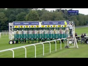 Video preview image for Ascot 15:50 - Dubai Duty Free Shergar Cup Sprint (Handicap)