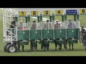 Video preview image for Newmarket 16:10 - Poppy Maiden Fillies' Stakes