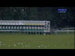 Video preview image for Ayr 20:40 - Qts Group Handicap
