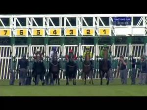 Video preview image for Nottingham 18:15 - British Stallion Studs EBF Novice Stakes (Plus 10)