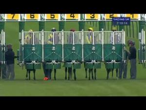 Video preview image for Nottingham 19:15 - ebfstallions.com Conditions Stakes