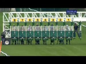 Video preview image for Nottingham 19:45 - Racinguk Now Available 10 Per Day Handicap