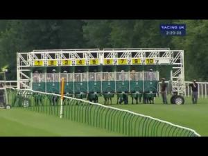 Video preview image for Salisbury 14:20 - British Stallion Studs EBF Molson Coors Maiden Stakes (Plus 10)