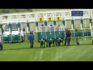 Video preview image for Salisbury 14:50 - S H Jones Wines Nursery