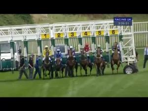 Video preview image for Salisbury 15:25 - Amazing O'Mahony & Miss Bunn Pembroke Cup (Handicap)