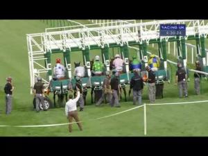 Video preview image for Salisbury 16:30 - Champagne Joseph Perrier Handicap