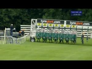 Video preview image for Beverley 15:35 - Bridge McFarland Solicitors Fillies' Handicap