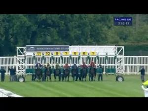 Video preview image for Newbury 14:50 - Christopher Smith Associates Handicap (Str)