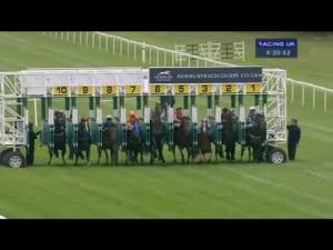 Video preview image for Newbury 16:30 - Kka - Highpoint Handicap