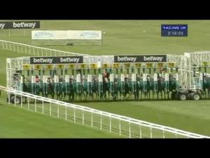 Video preview image for Newmarket 14:15 - Betway Grey Horse Handicap (For Grey Horses Only)