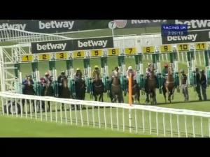 Video preview image for Newmarket 15:25 - Betway EBF Stallions Maiden Stakes (Plus 10)