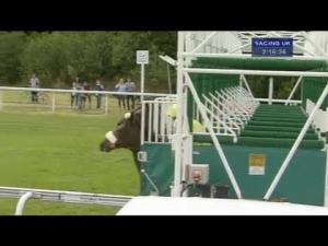Video preview image for Pontefract 14:15 - British Stallion Studs EBF Trevor Woods Memorial Maiden Stakes (Plus 10)