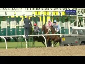 Video preview image for Thirsk 15:10 - Breeders Backing Racing EBF Maiden Stakes