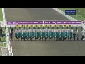 Video preview image for Kempton Park 15:25 - British Stallion Studs EBF Maiden Stakes (Plus 10)