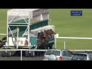 Video preview image for Kempton Park 15:55 - Download The Betdaq App Nursery