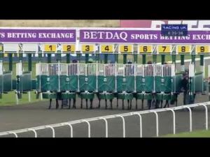 Video preview image for Kempton Park 16:25 - betdaq.com 50% Commission Refund Maiden Stakes