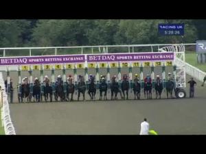 Video preview image for Kempton Park 17:25 - Jockey Club Catering Handicap