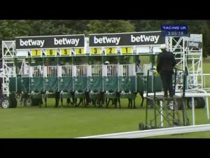 Video preview image for York 15:05 - Betway Great Voltigeur Stakes (Group 2)