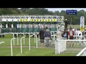 Video preview image for York 15:40 - Juddmonte International Stakes (British Champions Series) (Group 1)