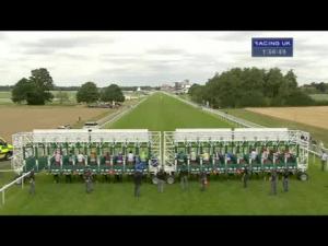 Video preview image for York 13:55 - Dbs Premier Yearling Stakes