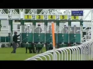 Video preview image for Hamilton Park 17:10 - British Stallion Studs EBF Debutants' Maiden Stakes