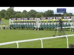 Video preview image for York 13:55 - Sky Bet First Race Special Handicap