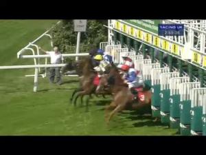 Video preview image for Sandown Park 14:55 - Ad Sports Council Handicap