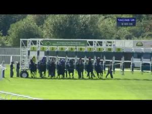 Video preview image for Sandown Park 16:40 - National Archive Of The Uae Handicap