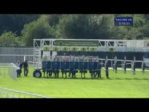 Video preview image for Sandown Park 17:15 - National Feed & Flour Production Fillies' Handicap