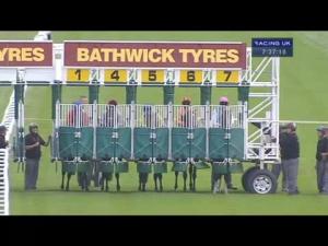 Video preview image for Salisbury 19:35 - Breeze Radio Handicap