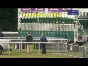 Video preview image for Chester 13:50 - Betdaq Serious About Horses Handicap
